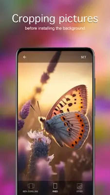 Butterfly Wallpapers 4K android App screenshot 2