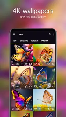 Butterfly Wallpapers 4K android App screenshot 4